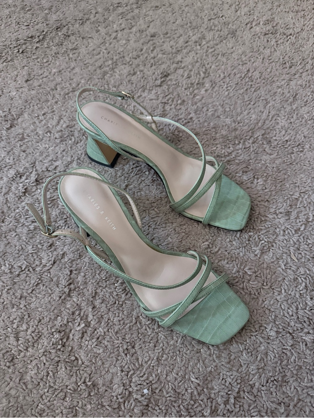 Charles & Keith Pistachio Strappy Block Heel Sandals